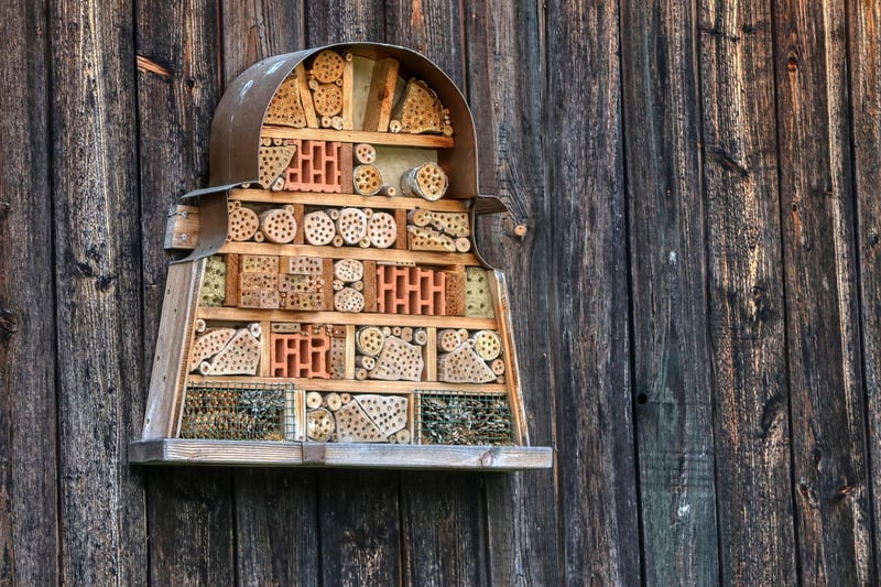 Bee hotel