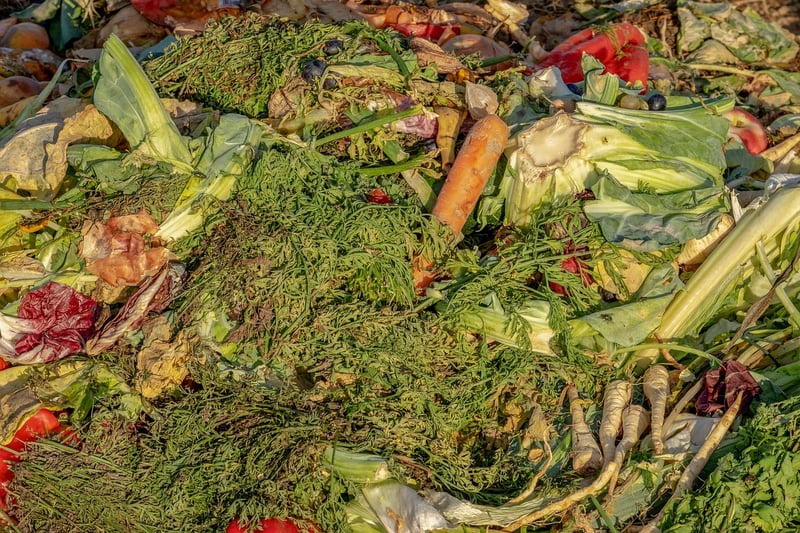 Organic Fertilizer