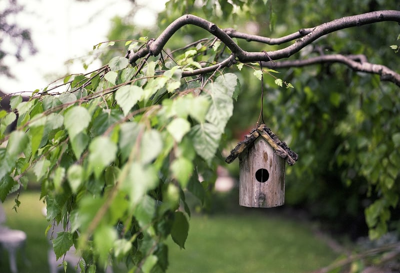 Hanging Gardens