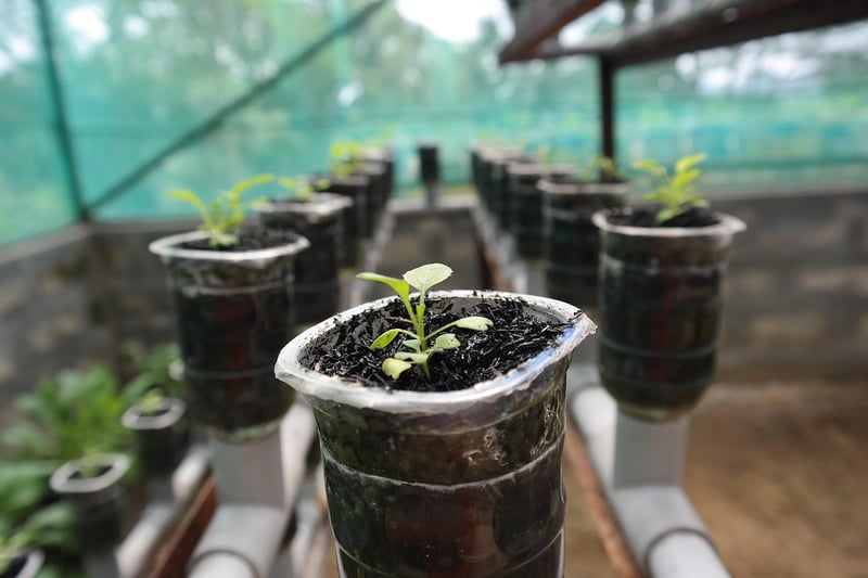 Vertical Hydroponic Systems